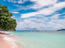 seychelles-4107839_1280.jpg