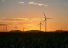 ekosolarzory-2025-05 - ekosolarzory_energia odnawialna_28_5 - Werka.jpg