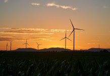ekosolarzory-2025-05 - ekosolarzory_energia odnawialna_28_5 - Werka.jpg