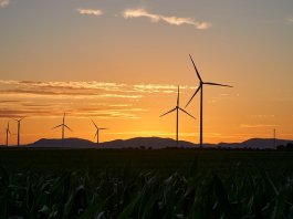 ekosolarzory-2025-05 - ekosolarzory_energia odnawialna_28_5 - Werka.jpg