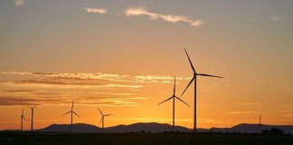ekosolarzory-2025-05 - ekosolarzory_energia odnawialna_28_5 - Werka.jpg