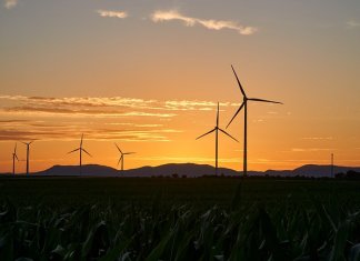 ekosolarzory-2025-05 - ekosolarzory_energia odnawialna_28_5 - Werka.jpg