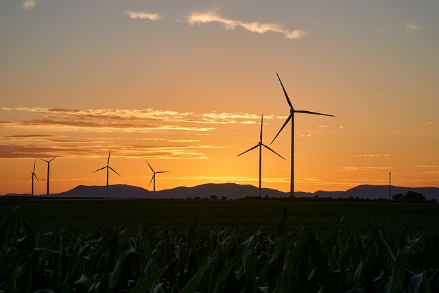 ekosolarzory-2025-05-ekosolarzory_energia-odnawialna_28_5-Werka ekosolarzory-2025-05 - ekosolarzory_energia odnawialna_28_5 - Werka.jpg