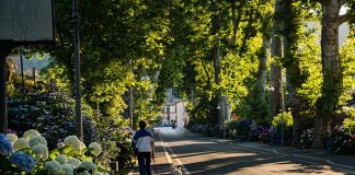 Werka - studia projektowanie terenów zieleni (1).jpg