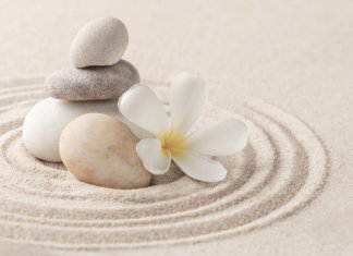 saywow - Kriolipoliza - Michalina.jpg