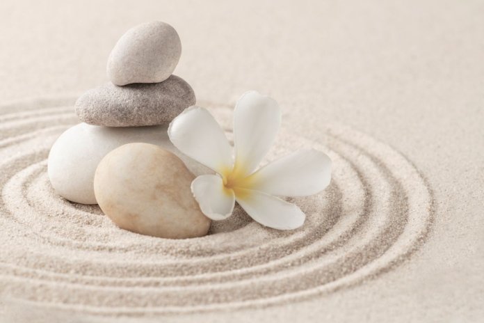 saywow - Kriolipoliza - Michalina.jpg